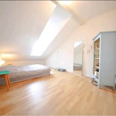 Charmant Appartement A Deux Pas Du Lac Leman! * Vevey
